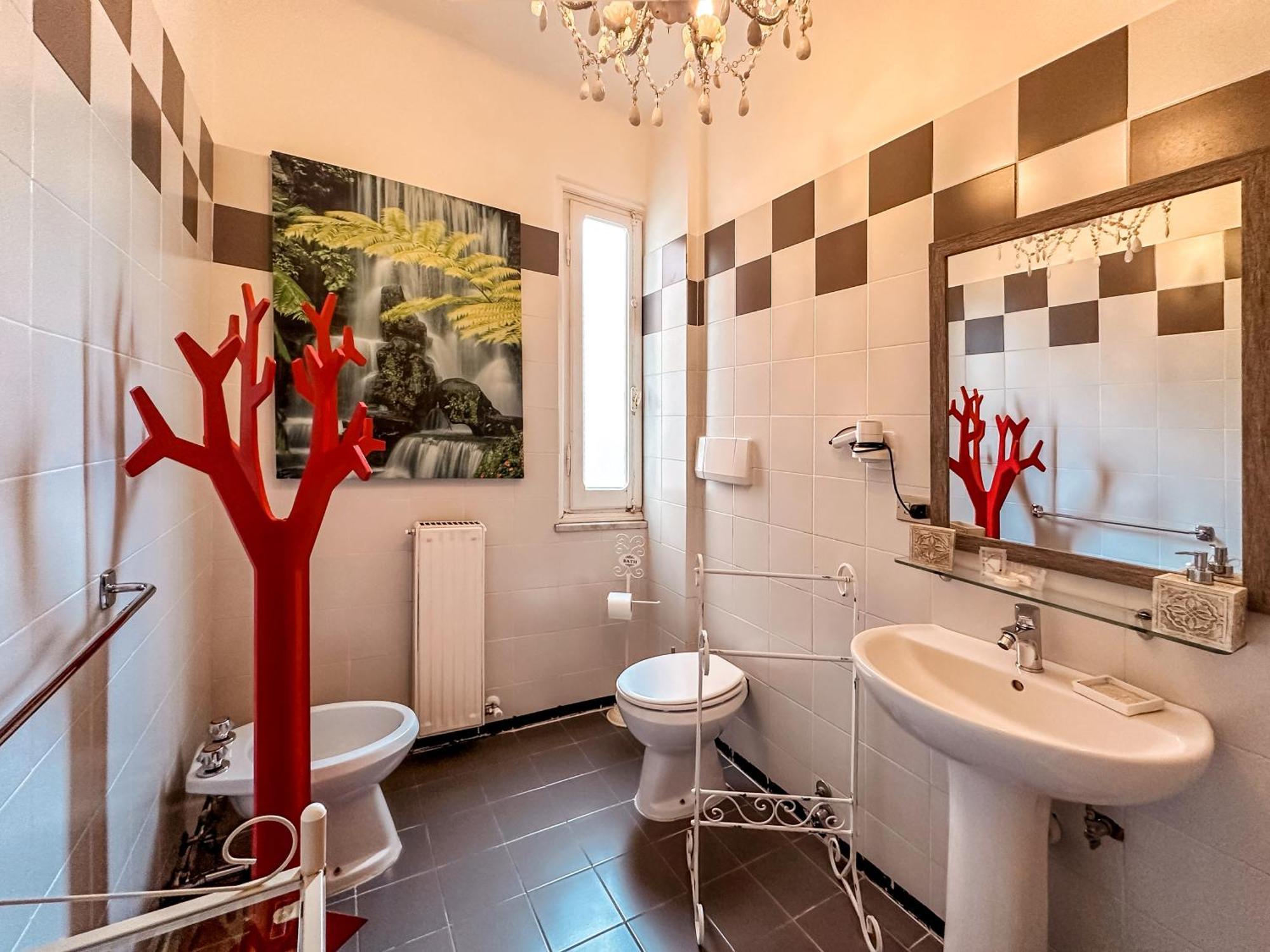 Hotel Hotel Alba 3*